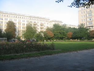 A small park with a rosebed