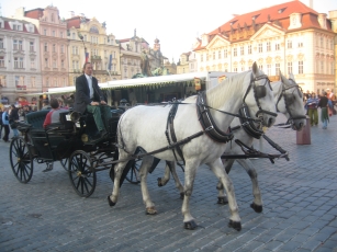 Horsedrawn carriage ride through the square
