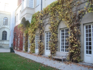 Autumn ivy in the courtyard in the Residenz in Munich