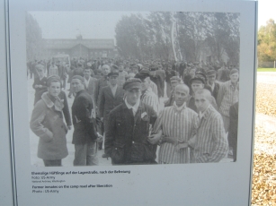 Survivors congregate on the camp road after liberation of the Dachau concentration camp