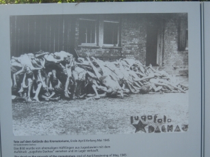 Bodies stacked like cordwood at Dachau, in 1945