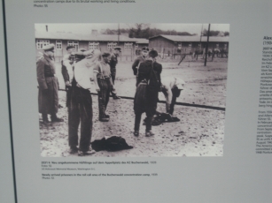 New arrivals to Dachau